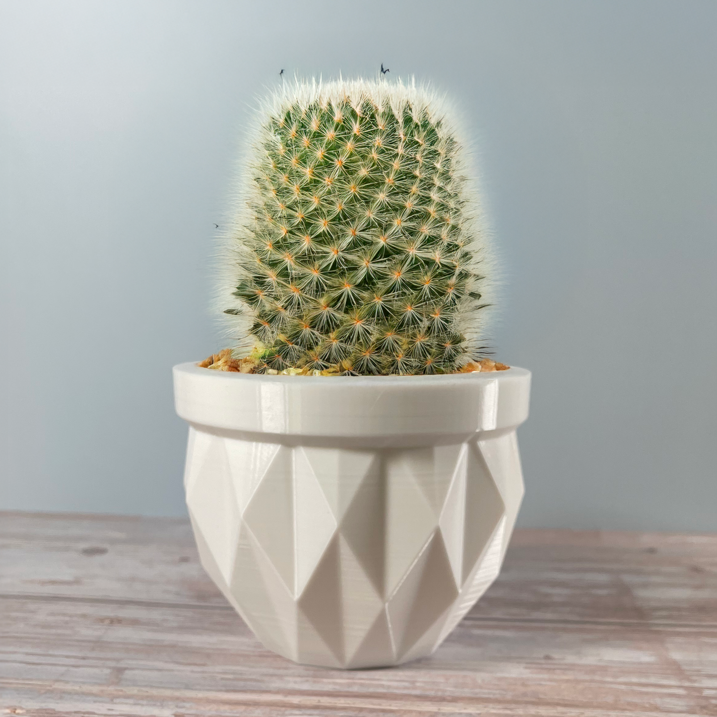 6 Sizes - 6 Color Options - DiamondFacet Planter - Textured Planter for Plants, Multiple Sizes, with Drainage