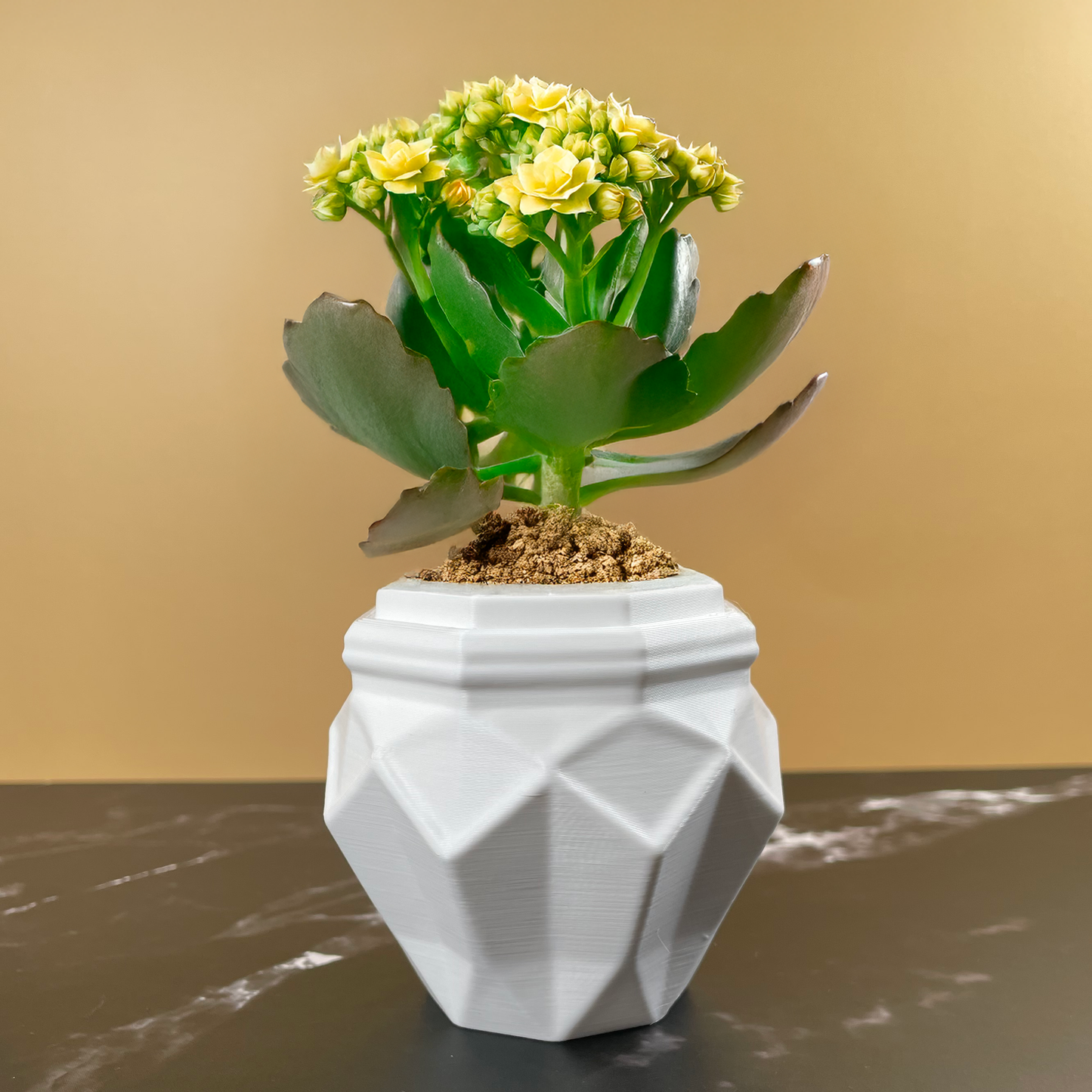 6 Sizes - 6 Color Options - Jewel Facet Planter – Textured Planter for Plants, Multiple Sizes, with Drainage