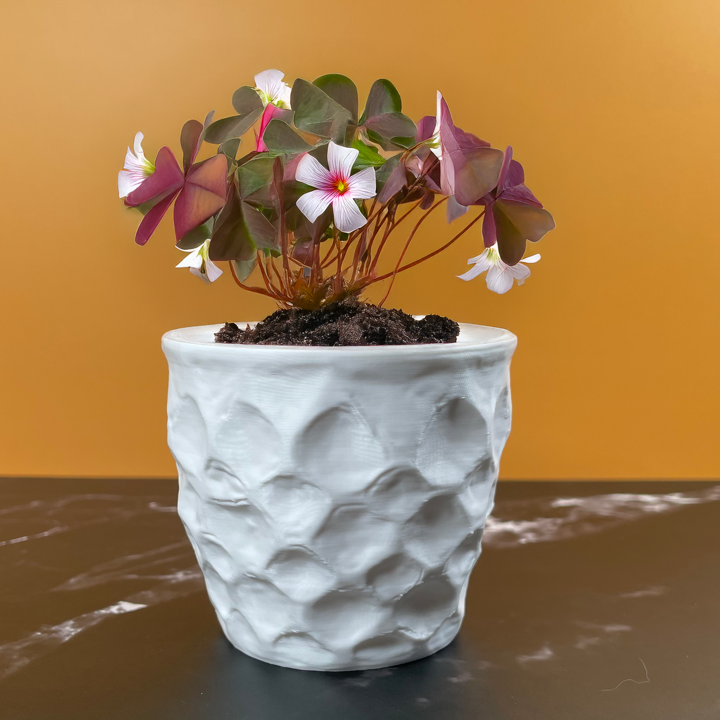6 Sizes - 6 Color Options - Scallop Shell Planter – Textured Planter for Plants, Multiple Sizes, with Drainage