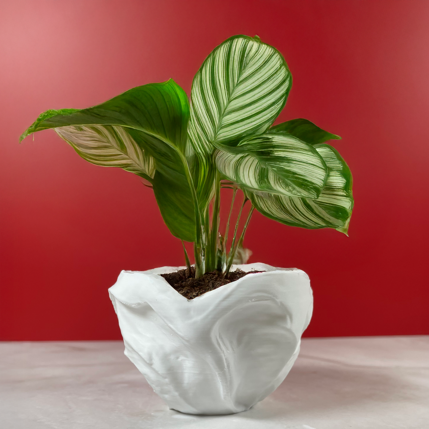 6 Sizes - 6 Color Options - Organic Bloom Vessel – Textured Planter for Plants, Multiple Sizes, with Drainage