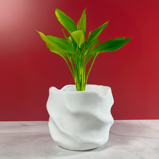 6 Sizes - 6 Color Options - Succulent Waves – Wavy Textured Planter for Plants, Multiple Sizes, with Drainage