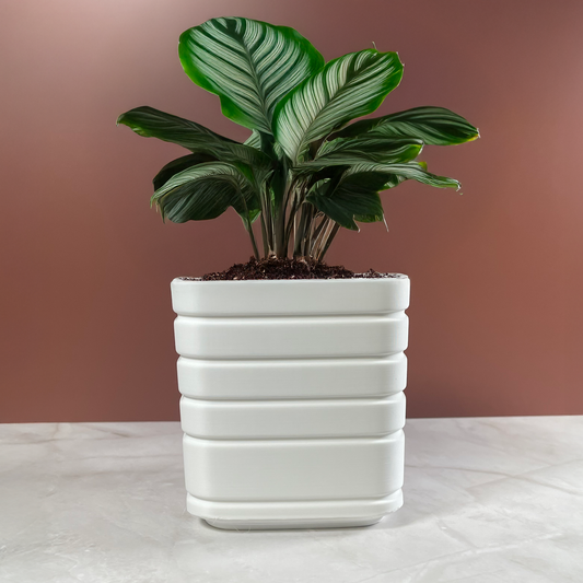 6 Sizes - 6 Color Options - Modern Tiered Planter – Textured Planter for Plants, Multiple Sizes, with Drainage