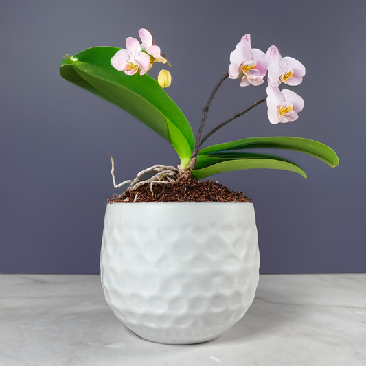 6 Sizes - 6 Color Options - Facet Planter – Textured Planter for Plants, Multiple Sizes, with Drainage