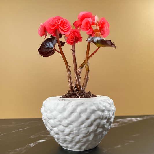 6 Sizes - 6 Color Options - Sculpted Terrain Planter – Textured Planter for Plants, Multiple Sizes, with Drainage
