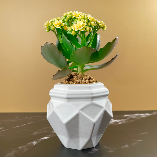 6 Sizes - 6 Color Options - Jewel Facet Planter – Textured Planter for Plants, Multiple Sizes, with Drainage