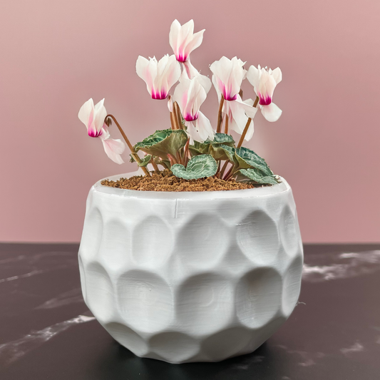 6 Sizes - 6 Color Options - Bubble Bliss Planter – Textured Planter for Plants, Multiple Sizes, with Drainage