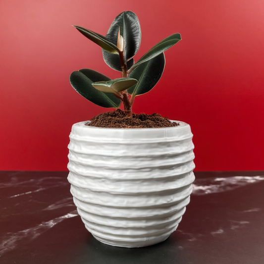 6 Sizes - 6 Color Options - Horizon Ridge Planter – Textured Planter for Plants, Multiple Sizes, with Drainage