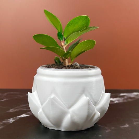 6 Sizes - 6 Color Options - Bloom Petal Pot – Textured Planter for Plants, Multiple Sizes, with Drainage