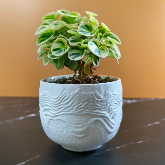 7 Sizes - 6 Color Options - Fingerprint Earth Planter – Textured Planter for Plants, Multiple Sizes, with Drainage