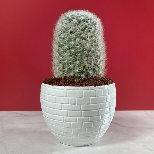 6 Sizes - 6 Color Options - Urban Brick Planter – Textured Planter for Plants, Multiple Sizes, with Drainage