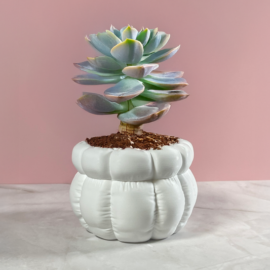 6 Sizes - 6 Color Options - Pillow Cloud Planter – Textured Planter for Plants, Multiple Sizes, with Drainage