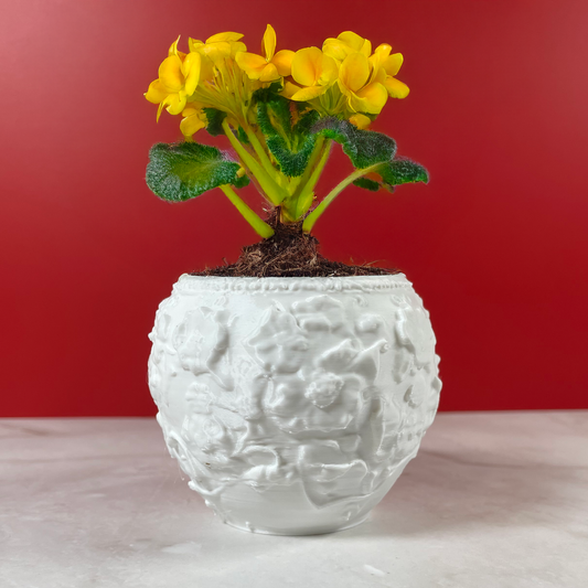 6 Sizes - 6 Color Options - Bloom Whisper Planter – Textured Planter for Plants, Multiple Sizes, with Drainage