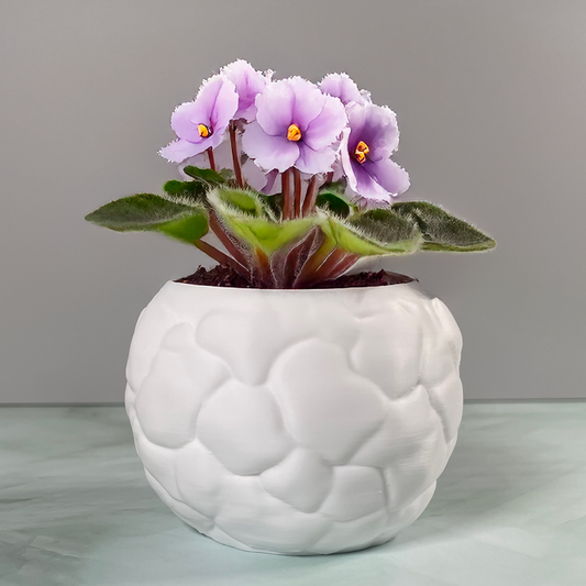 6 Sizes - 6 Color Options - Pebble Delight Pot – Textured Planter for Plants, Multiple Sizes, with Drainage