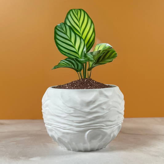 6 Sizes - 6 Color Options - Serene Ripple Planter – Textured Planter for Plants, Multiple Sizes, with Drainage