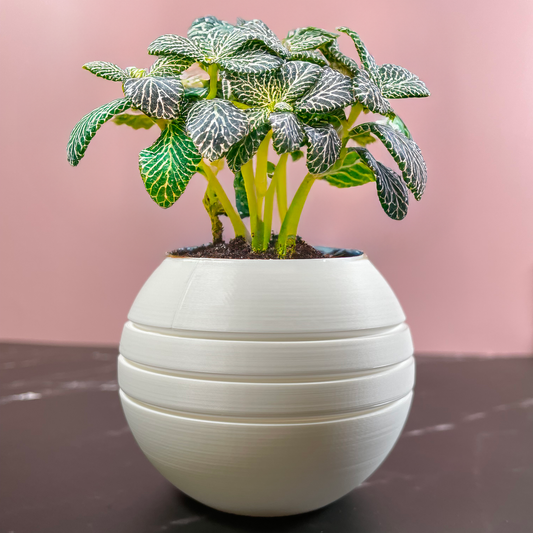 6 Sizes - 6 Color Options - Orbital Groove Planter – Textured Planter for Plants, Multiple Sizes, with Drainage